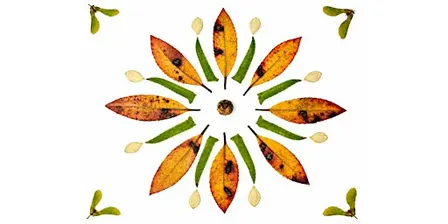 Fall Mandalas and Community Altar: an Afternoon of Creativity and Intention