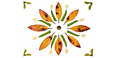 Fall Mandalas and Community Altar: an Afternoon of Creativity and Intention