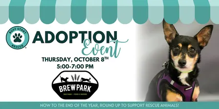 Ruff Start Rescue Adoption Event at Brew Park