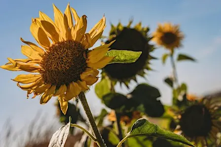 Learn Your Camera: A Private Photography Lesson in Edmonton