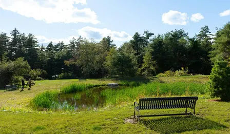Morning Meditation in the Park