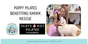 Puppies & Pilates Benefitting BARRK Rescue