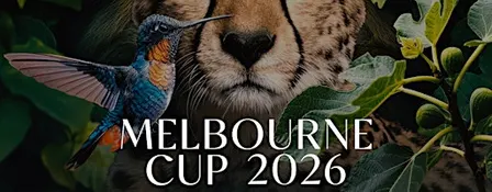 MELBOURNE CUP 2026 | SOKO BRISBANE