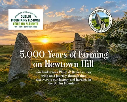 Newtown Hill Archaeology Tour - Dublin Mountain Festival