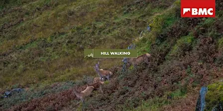 BMC Hill Walking: Red Deer Rut Special, Peak District