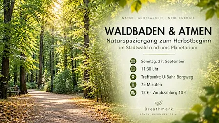 WALDBADEN & ATMEN – Naturspaziergang zum Herbstbeginn im Stadtwald