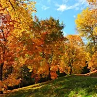Wellbeing Day at SCCUL Sanctuary
