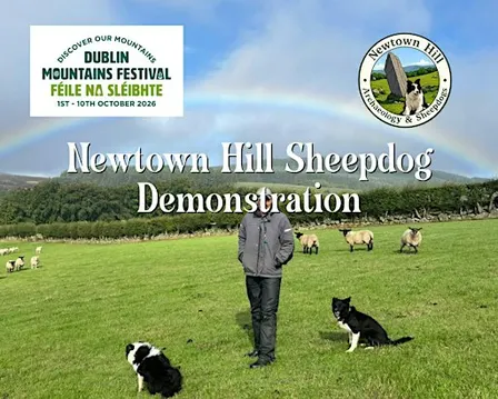 Newtown Hill Sheepdog Demonstration