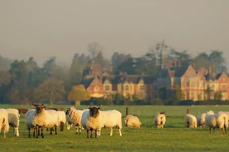 Resilient & Sustainable Retail for farm produce in the Malvern Hills