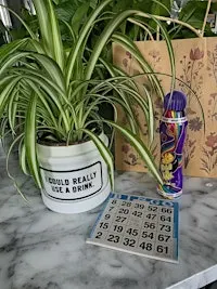 Chelle' s Pours & Plant Bingo