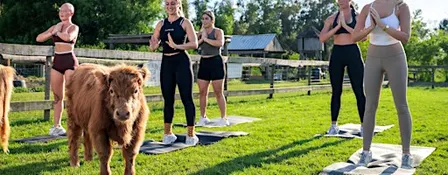 Pilates and Brunch at The Farm