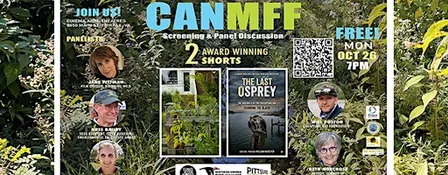 FREE! Becoming Wild & The Last Osprey Film Screenings & Panel Discussion!