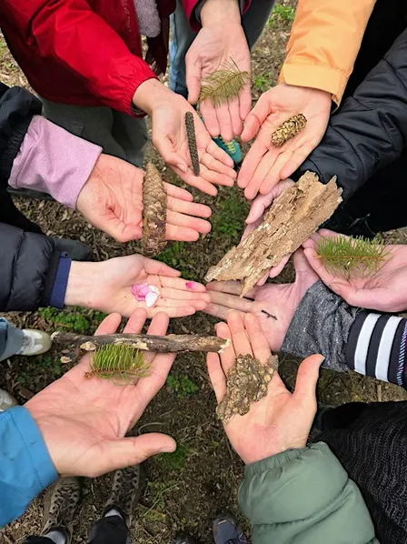Gratitude for Earth's Gifts -Thanksgiving Walk (+ picnic option)