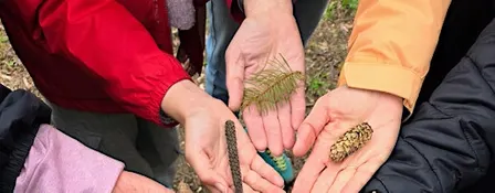 Gratitude for Earth's Gifts -Thanksgiving Walk (+ picnic option)