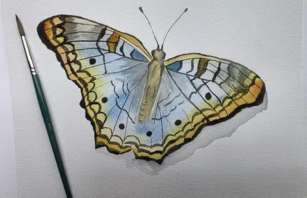 Watercolor White Peacock Butterfly