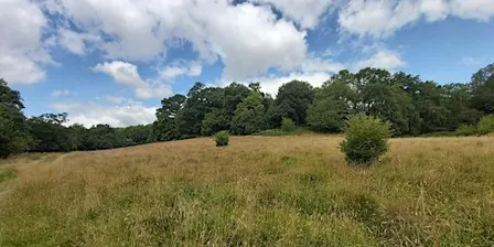 Nature Reserves work party - Crow Wood