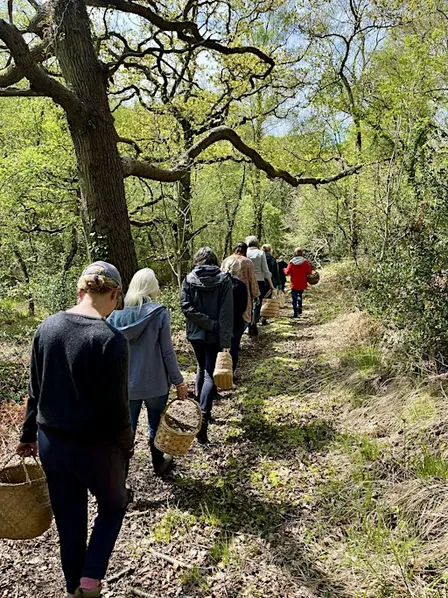 Medicine of the Hedgerow: An Autumn Forage & Workshop