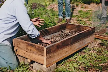Air Pruned Raised Beds