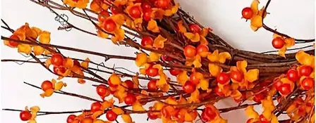 Whimsical Fall Bittersweet Wreath | Brenda Dwyer, instructor