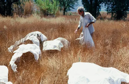 “In Search of Jon Serl,” a lecture by Susan C. Larsen