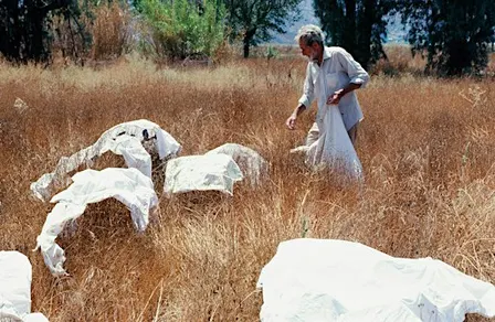 “In Search of Jon Serl,” a lecture by Susan C. Larsen