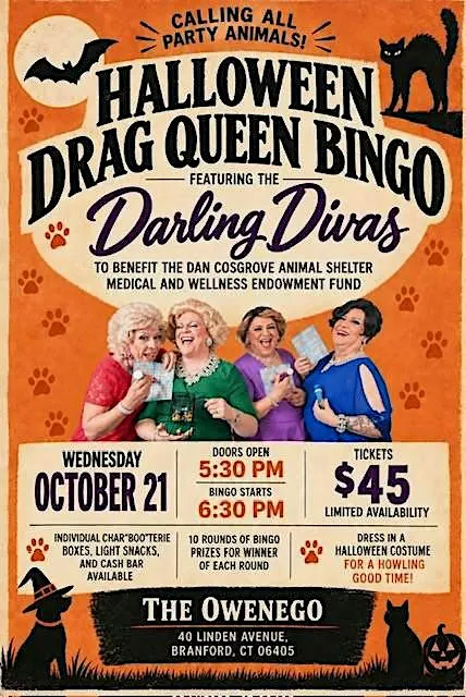 Halloween Drag Queen Bingo