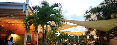 A Poetry & Tarot Workshop: Tropical Waystations