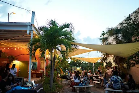 A Poetry & Tarot Workshop: Tropical Waystations