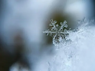 Winter Wellness: Body and Hair Edition