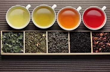 Stille Essence Sip & Restore Tea Tasting