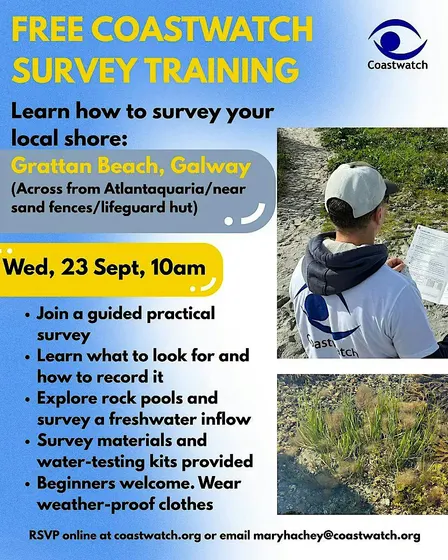 Coastwatch  Survey and exploration