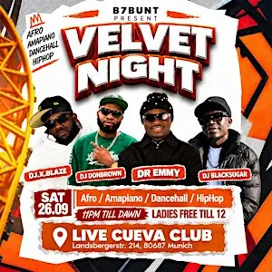 VELVET NIGHT