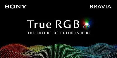 Best Buy RGB LED TV Masterclass by Sony (London, ON)