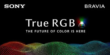 Best Buy RGB LED TV Masterclass by Sony (London, ON)