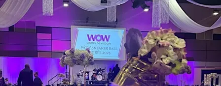 WOW Sneaker Ball Soirée 2027