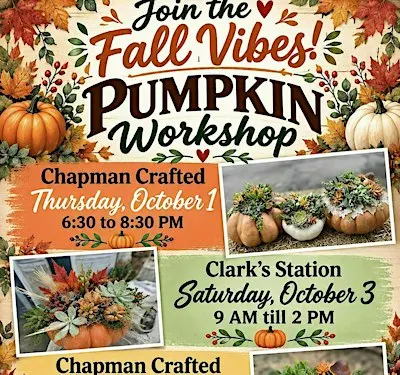 Succulent Pumpkin Workshop in Orange