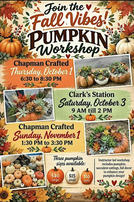 Succulent Pumpkin Workshop in Orange