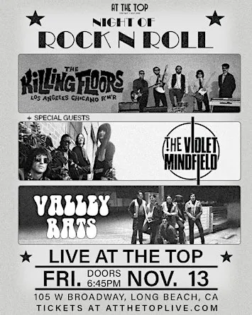 Night of Rock N Roll