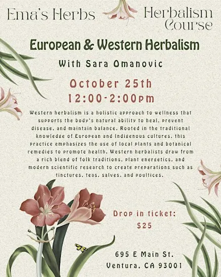 European & Western Herbalism with Sara Omanovic