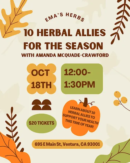 10 Herbal Allies for the Season with Amanda McQuade-Crawford