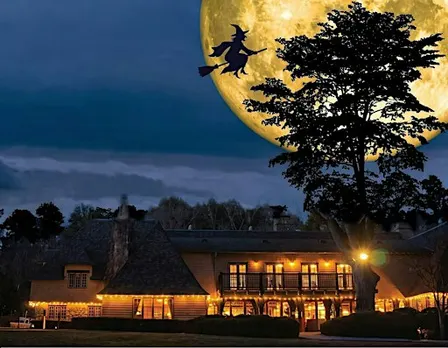 UCLA Mountain Bruins Harvest Moon