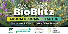 Croom Blooms - Native Plant ID Session - BioBlitz@Croom 2026