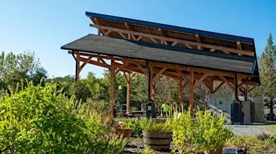 Birding DC 2026: The Well at Oxon Run by DC Greens