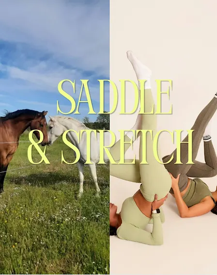 Saddle, Stretch & Pumpkin Spice