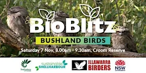 Bushland Birds -  BioBlitz@Croom 2026