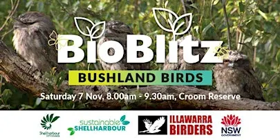 Bushland Birds -  BioBlitz@Croom 2026