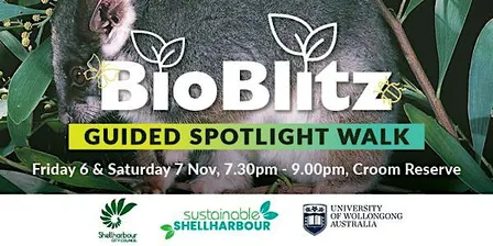 Guided Spotlight Walk - BioBlitz@Croom 2026