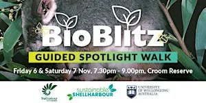 Guided Spotlight Walk - BioBlitz@Croom 2026