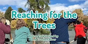 Reaching for the Trees - with Matt Basile