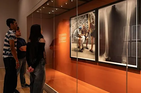 Curator’s Tour: Terraforming